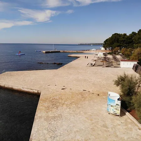 House Puseljic - 4. - Studio A2 For Max 2 Pax With Own Tennis Court Daire *