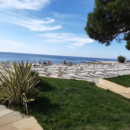 House Puseljic - 4. - Studio A2 For Max 2 Pax With Own Tennis Court Daire *