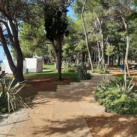 House Puseljic - 4. - Studio A2 For Max 2 Pax With Own Tennis Court *