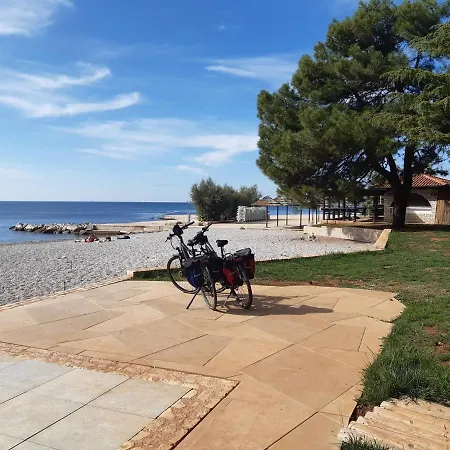 House Puseljic - 4. - Studio A2 For Max 2 Pax With Own Tennis Court Daire Poreč
