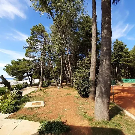 Apartament House Puseljic - 4. - Studio A2 For Max 2 Pax With Own Tennis Court *